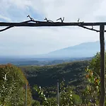 In - O Elato