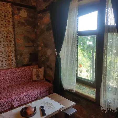 In - O Elato * Елатохори