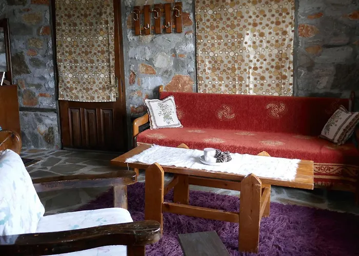 In - O Elato Элатохори