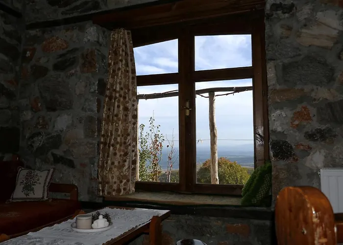 In - O Elato Элатохори